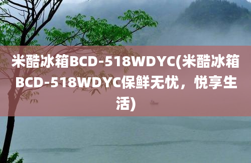 米酷冰箱BCD-518WDYC(米酷冰箱BCD-518WDYC保鲜无忧，悦享生活)