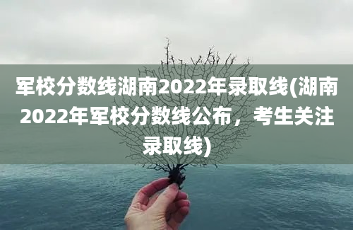 军校分数线湖南2022年录取线(湖南2022年军校分数线公布，考生关注录取线)