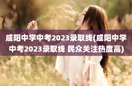 咸阳中学中考2023录取线(咸阳中学中考2023录取线 民众关注热度高)