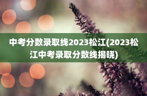 中考分数录取线2023松江(2023松江中考录取分数线揭晓)