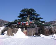 牡丹江天气预报15天