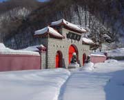 新洲后天天气