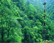 庆元后天天气